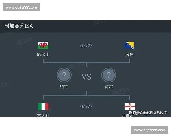 捷克对阵丹麦焦点之战解析两队战术实力与晋级前景展望全面观察